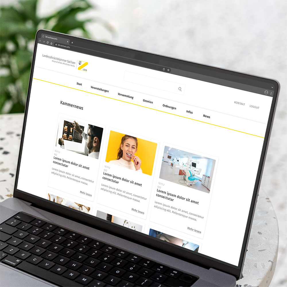 Serviceportal im Bereich „Kammernews“ mit Nachrichtenkacheln und gelber Akzentlinie.